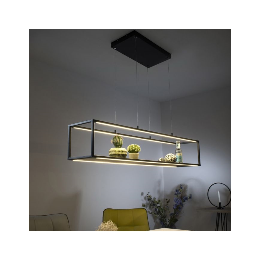 Paul Neuhaus 2441-18 - LED Stmievateľný luster na lanku CONTURA 4xLED/8W/230V
