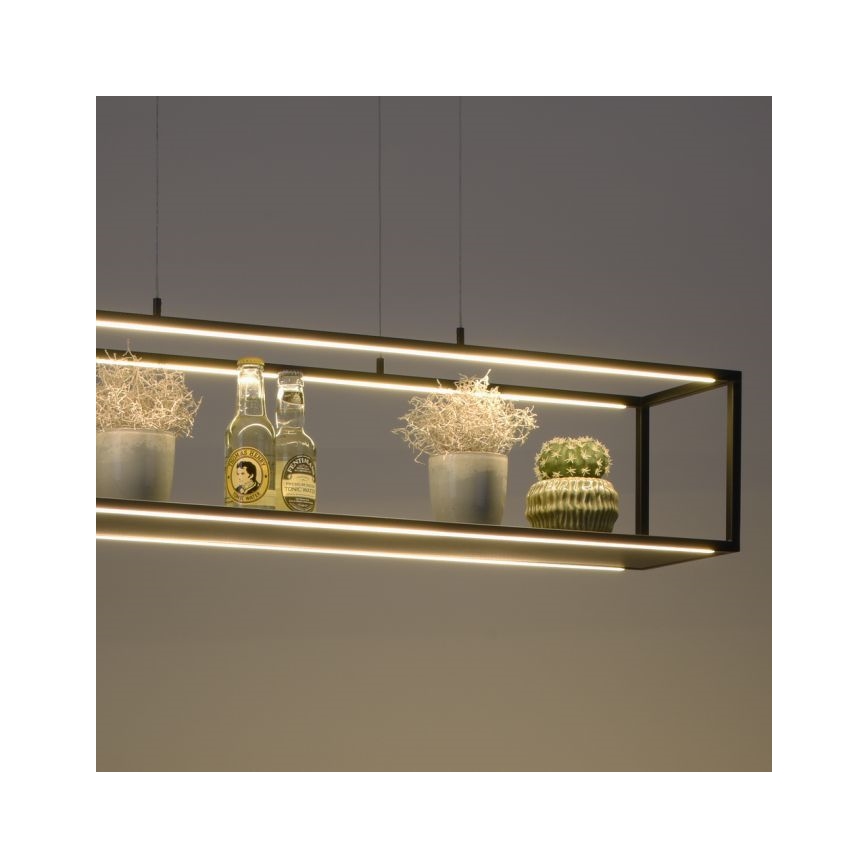 Paul Neuhaus 2441-18 - LED Stmievateľný luster na lanku CONTURA 4xLED/8W/230V