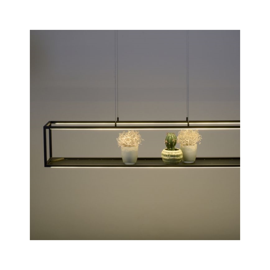 Paul Neuhaus 2441-18 - LED Stmievateľný luster na lanku CONTURA 4xLED/8W/230V