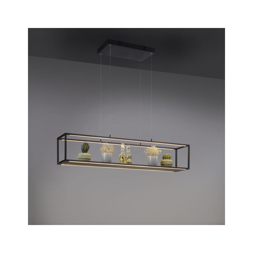 Paul Neuhaus 2441-18 - LED Stmievateľný luster na lanku CONTURA 4xLED/8W/230V