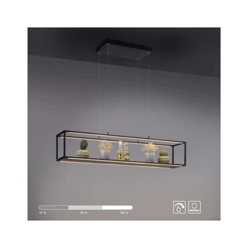 Paul Neuhaus 2441-18 - LED Stmievateľný luster na lanku CONTURA 4xLED/8W/230V