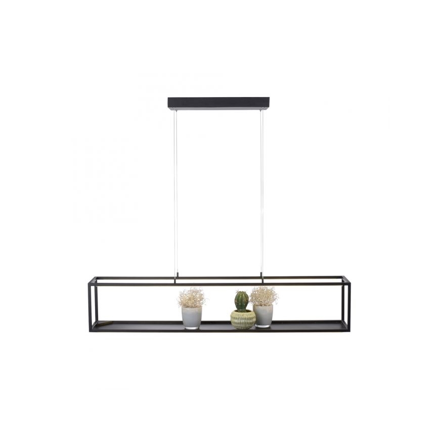 Paul Neuhaus 2441-18 - LED Stmievateľný luster na lanku CONTURA 4xLED/8W/230V