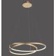 Paul Neuhaus 2474-12 - LED Stmievateľný luster na lanku ROMAN LED/40W/230V zlatá