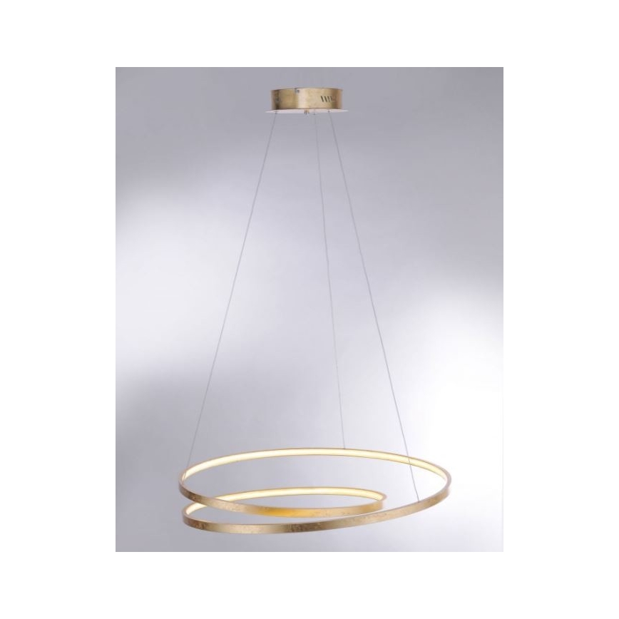 Paul Neuhaus 2474-12 - LED Stmievateľný luster na lanku ROMAN LED/40W/230V zlatá