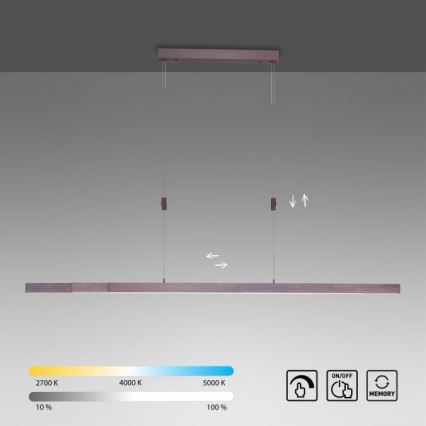 Paul Neuhaus 2568-24 - LED Stmievateľný luster na lanku ADRIANA LED/14W/230V 2700-5000K