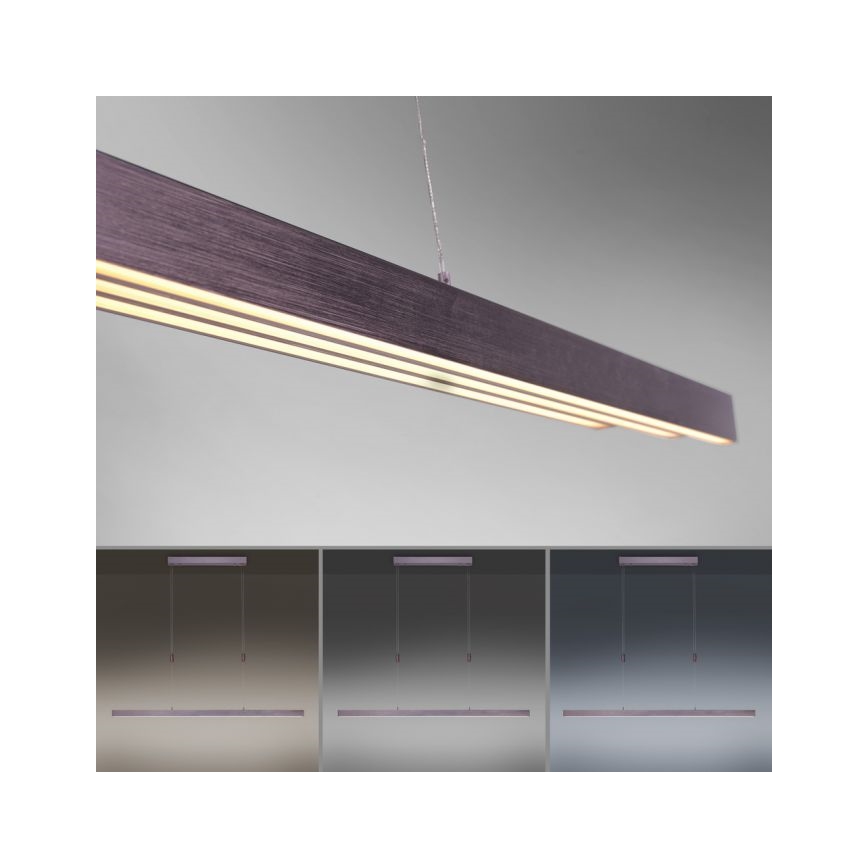 Paul Neuhaus 2568-24 - LED Stmievateľný luster na lanku ADRIANA LED/14W/230V 2700-5000K