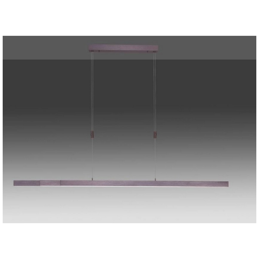 Paul Neuhaus 2568-24 - LED Stmievateľný luster na lanku ADRIANA LED/14W/230V 2700-5000K