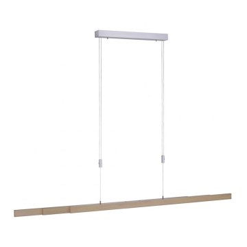 Paul Neuhaus 2568-78 - LED Stmievateľný luster na lanku ADRIANA LED/14W/230V