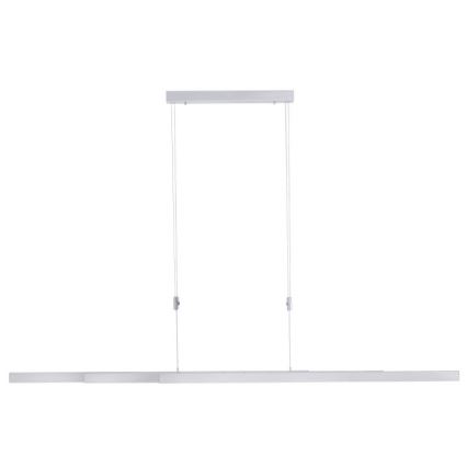 Paul Neuhaus 2568-95 - LED Stmievateľný luster na lanku ADRIANA LED/14W/230V 2700-5000K matný chróm