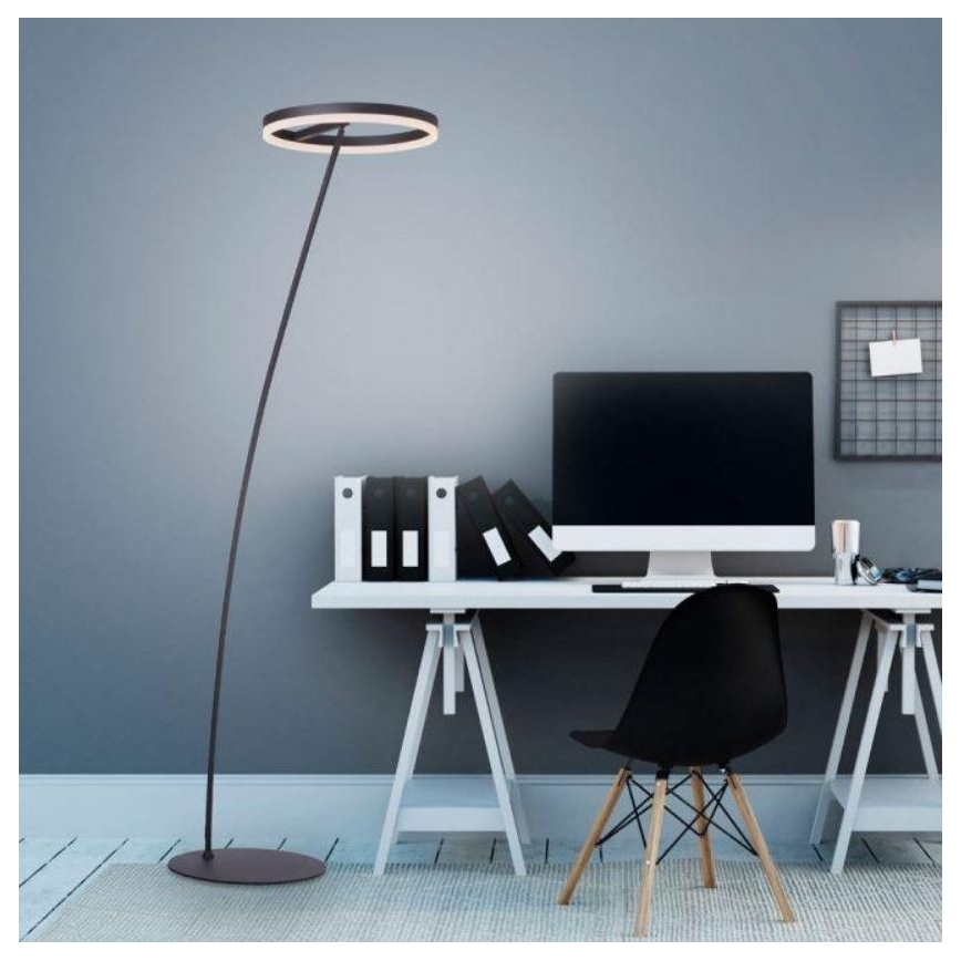 Paul Neuhaus 381-13 - LED Stmevateľná stojacia lampa TITUS LED/19,5W/230V