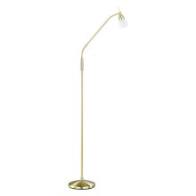 Paul Neuhaus 430-60 - Stmievateľná dotyková stojacia lampa  PINO 1xG9/28W/230V zlatá