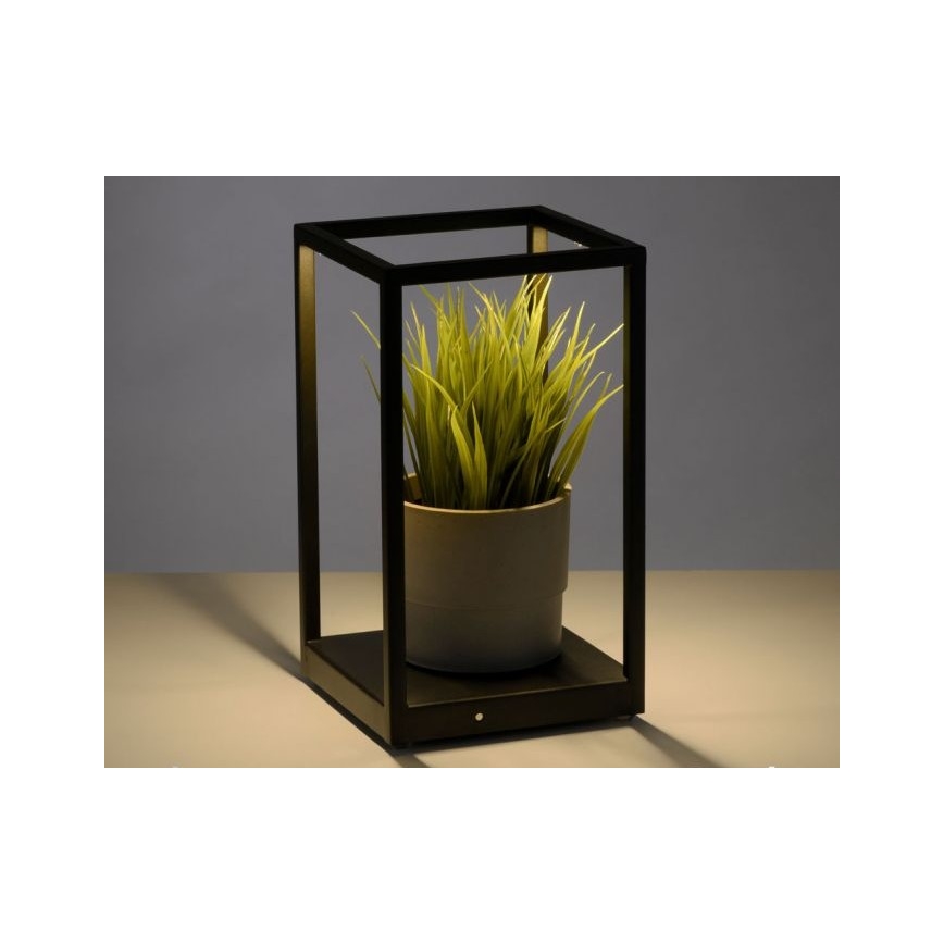Paul Neuhaus 4401-18 - LEDStmievateľná stolná lampa CONTURA 2xLED/2,2W/230V