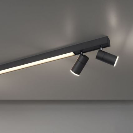 Paul Neuhaus 6121-13 - LED Stmievateľné bodové svietidlo PURE 4xLED/4W/230V + LED/9W 2700-5000K + diaľkové ovládanie