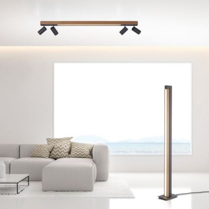 Paul Neuhaus 6121-79 - LED Stmievateľné bodové svietidlo PURE 4xLED/4W/230V + LED/9W 2700-5000K + diaľkové ovládanie