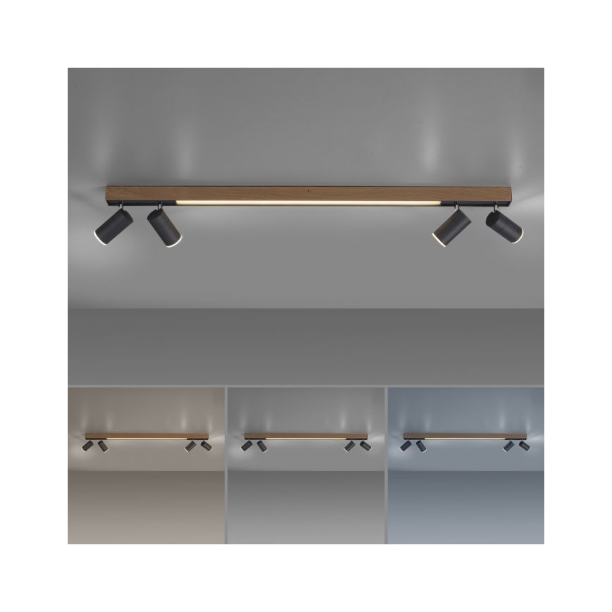 Paul Neuhaus 6121-79 - LED Stmievateľné bodové svietidlo PURE 4xLED/4W/230V + LED/9W 2700-5000K + diaľkové ovládanie