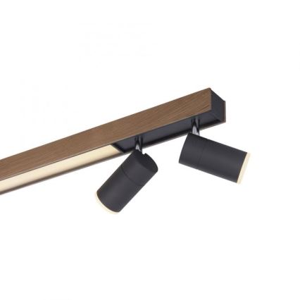 Paul Neuhaus 6121-79 - LED Stmievateľné bodové svietidlo PURE 4xLED/4W/230V + LED/9W 2700-5000K + diaľkové ovládanie