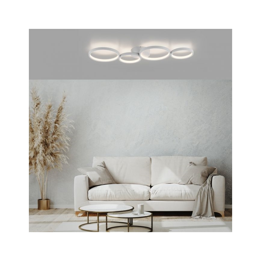 Paul Neuhaus 6183-16 - LED Stmievateľné stropné svietidlo KIRINGE LED/26W/230V