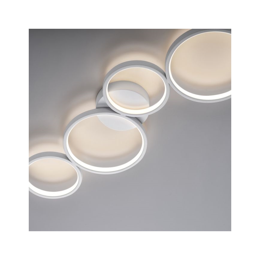 Paul Neuhaus 6183-16 - LED Stmievateľné stropné svietidlo KIRINGE LED/26W/230V