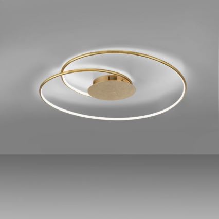 Paul Neuhaus 6189-12 - LED Stmievateľné stropné svietidlo NASTRO LED/26W/230V
