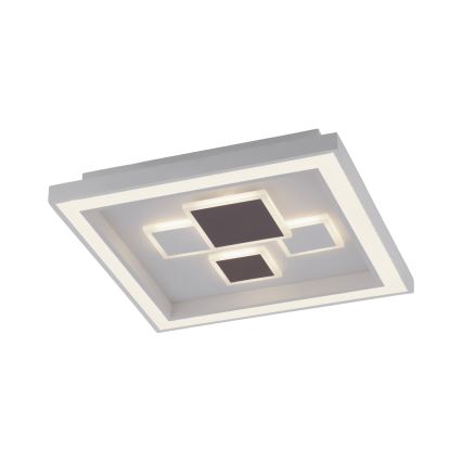 Paul Neuhaus 6283-16 - LED Stmievateľné stropné svietidlo ELIZA LED/30W/230V + LED/18,5W