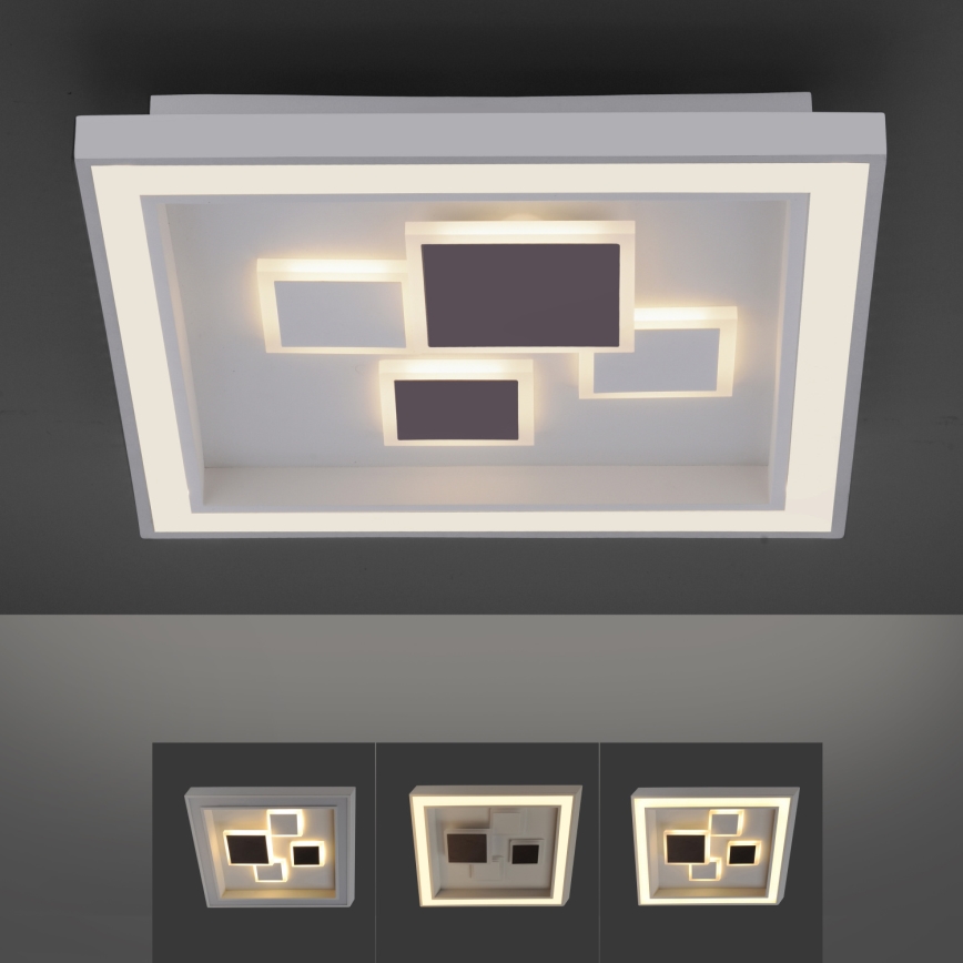 Paul Neuhaus 6283-16 - LED Stmievateľné stropné svietidlo ELIZA LED/30W/230V + LED/18,5W