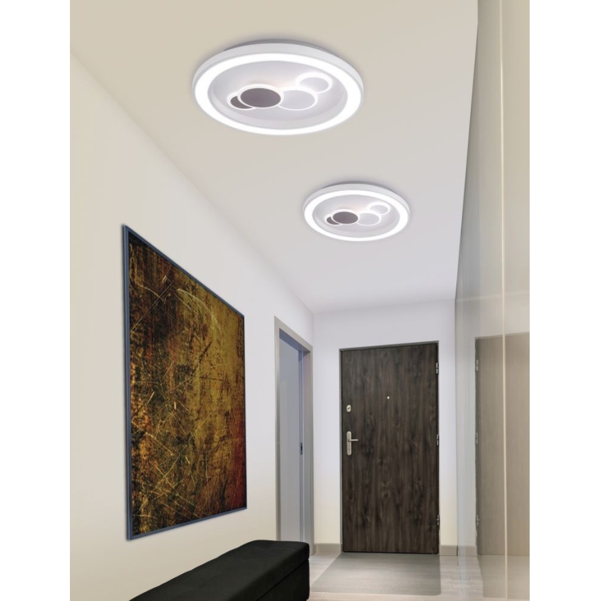 Paul Neuhaus 6284-16 - LED Stropné svietidlo ELIZA LED/55,5W/230V pr. 60 cm