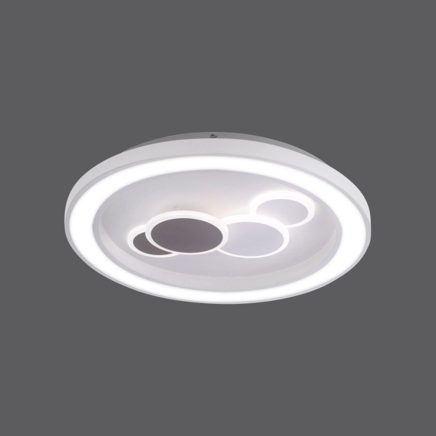 Paul Neuhaus 6284-16 - LED Stropné svietidlo ELIZA LED/55,5W/230V pr. 60 cm