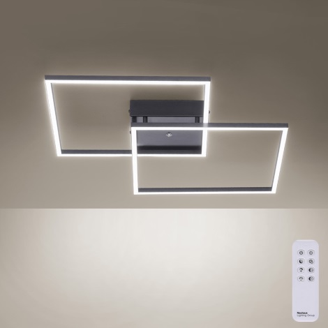 Paul Neuhaus 6437-18 - LED Stmievateľný prisadený luster INIGO 2xLED/12,5W/230V
