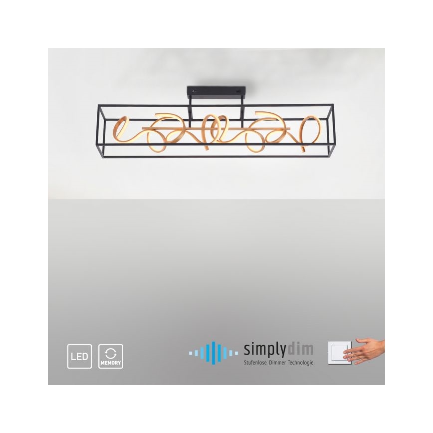 Paul Neuhaus 6473-18 - LED Stmievateľný luster na tyči SELINA 4xLED/10,2W/230V