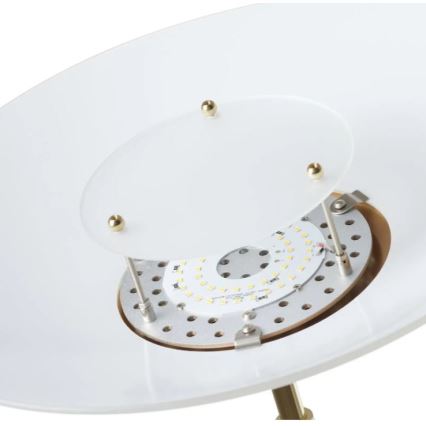 Paul Neuhaus 655-60 - LED Stmievateľná stojacia lampa ALFRED 1xLED/28W/230V+1xLED/4W/230V mosadz