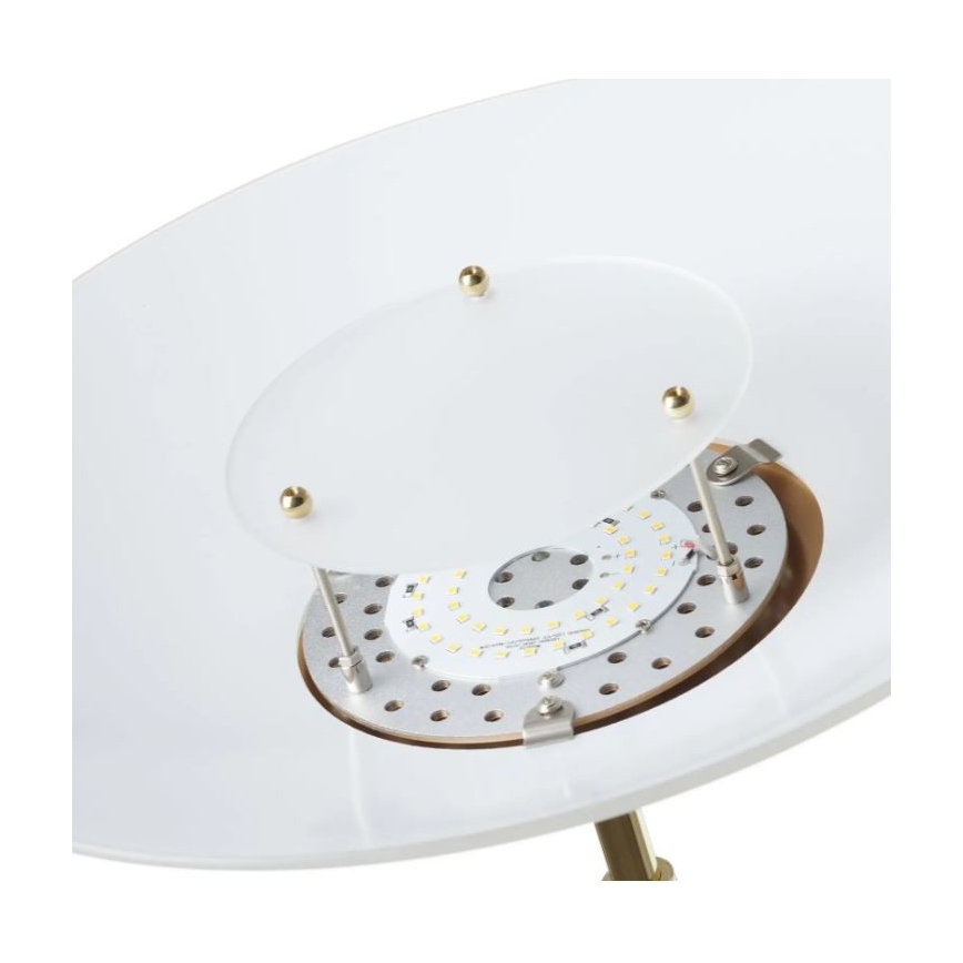 Paul Neuhaus 655-60 - stmievateľná LED stojacia lampa ALFRED LED/28W/230V+LED/4W/230V mosadz