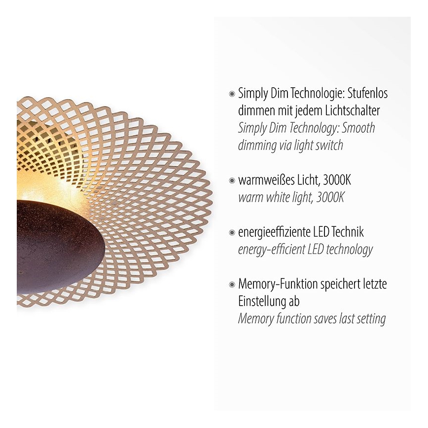 Paul Neuhaus 6551-48 - LED Stmievateľné stropné svietidlo NEVIS LED/18W/230V