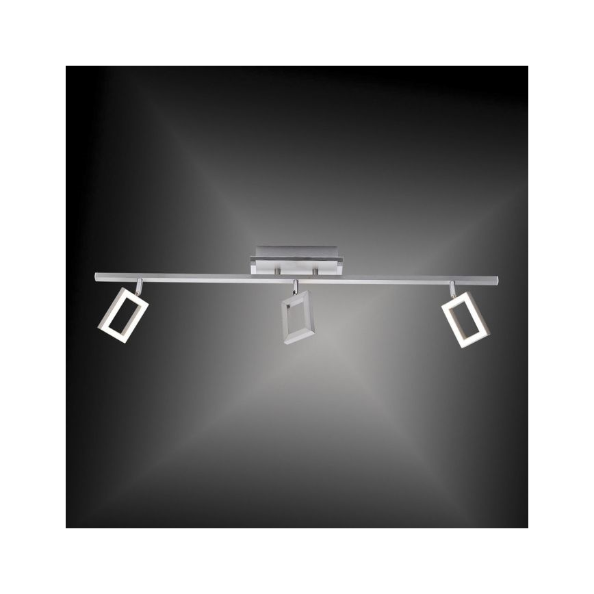 Paul Neuhaus 6959-55 - LED Bodové svietidlo INIGO 3xLED/4,2W/230V