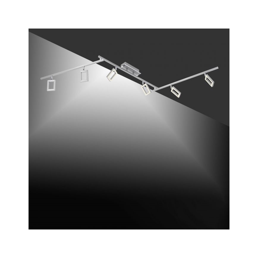 Paul Neuhaus 6965-55 - LED Stmievateľné bodové svietidlo INIGO 6xLED/4W/230V