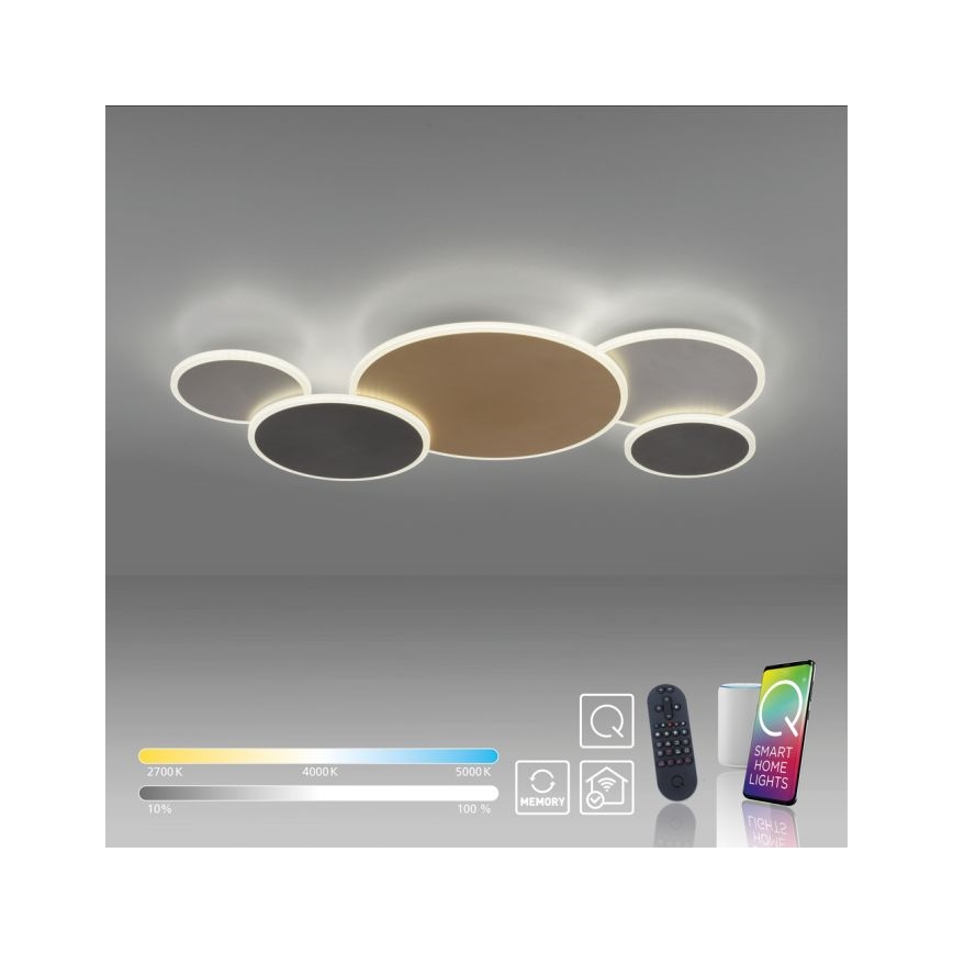 Paul Neuhaus 8008-70 - LED Stmievateľné stropné svietidlo Q-PIATO LED/49W/230V 2700-5000K Wi-Fi + diaľkové ovládanie