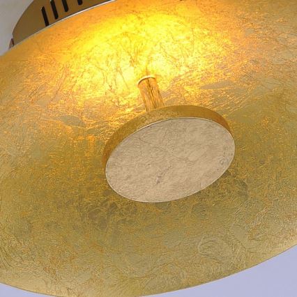 Paul Neuhaus 8132-12 - LED Stmievateľné stropné svietidlo PLATE LED/25W/230V