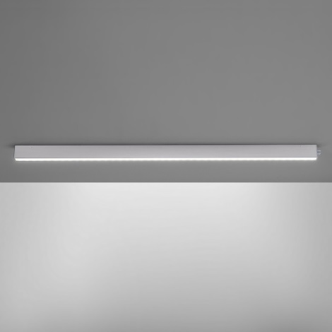Paul Neuhaus 8233-95 - LED Podlinkové svietidlo SNAKE 1xLED/22W/230V