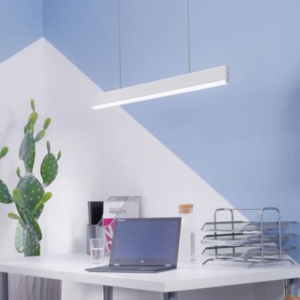 Paul Neuhaus 8363-55 - LED Stmievateľný luster na lanku so senzorom ARINA LED/20W/230V