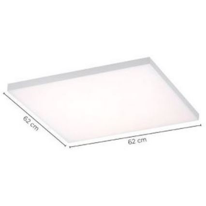 Paul Neuhaus 8492-16 - LED Stmievateľný prisadený panel FRAMELESS LED/35W/230V + diaľkové ovládanie