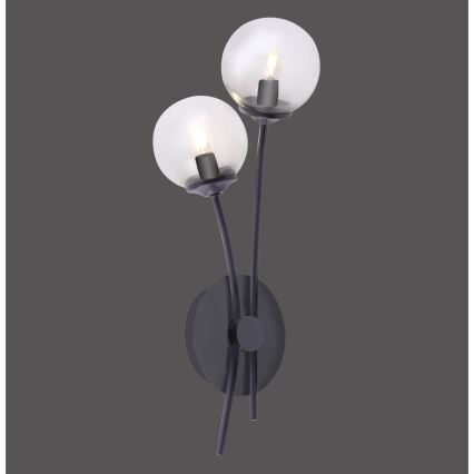 Paul Neuhaus 9014-18 - LED Nástenná lampa WIDOW 2xG9/3W/230V