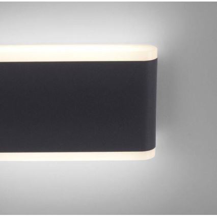 Paul Neuhaus 9483-13 - LED Vonkajšie nástenné svietidlo ELSA 2xLED/5,4W/230V IP65