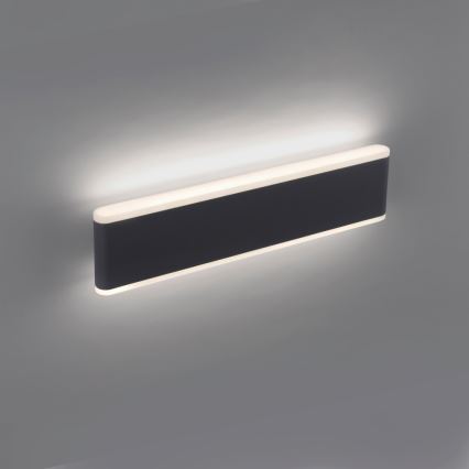 Paul Neuhaus 9484-13 - LED Stmievateľné vonkajšie nástenné svietidlo  ELSA 2xLED/9W/230V IP65