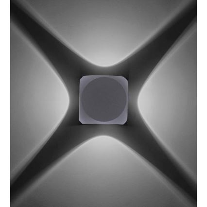 Paul Neuhaus 9485-21 - LED Vonkajšie nástenné svietidlo CARLO 4xLED/0,8W/230V IP54