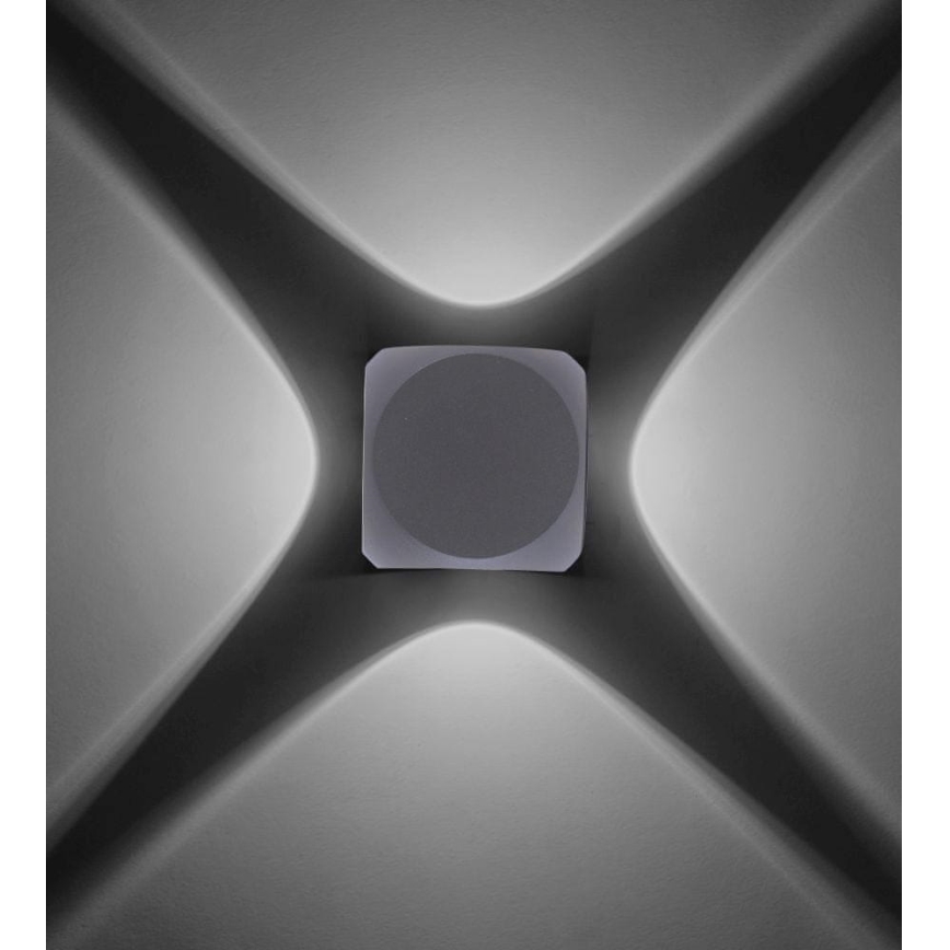 Paul Neuhaus 9485-21 - LED Vonkajšie nástenné svietidlo CARLO 4xLED/0,8W/230V IP54
