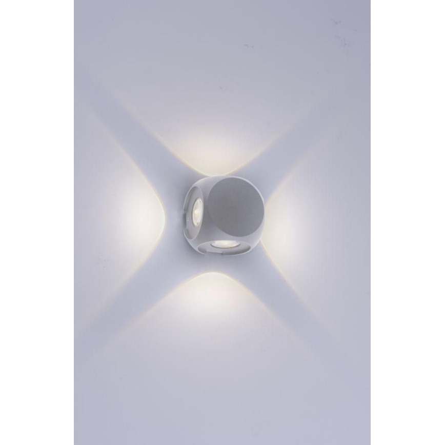 Paul Neuhaus 9485-21 - LED Vonkajšie nástenné svietidlo CARLO 4xLED/0,8W/230V IP54