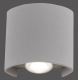 Paul Neuhaus 9486-21 - LED Vonkajšie nástenné svietidlo CARLO 2xLED/1,7W/230V IP54