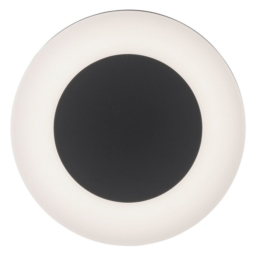 Paul Neuhaus 9490-13 - LED Vonkajšie svietidlo FABIAN LED/12,6W/230V IP54