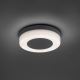 Paul Neuhaus 9490-13 - LED Vonkajšie svietidlo FABIAN LED/12,6W/230V IP54