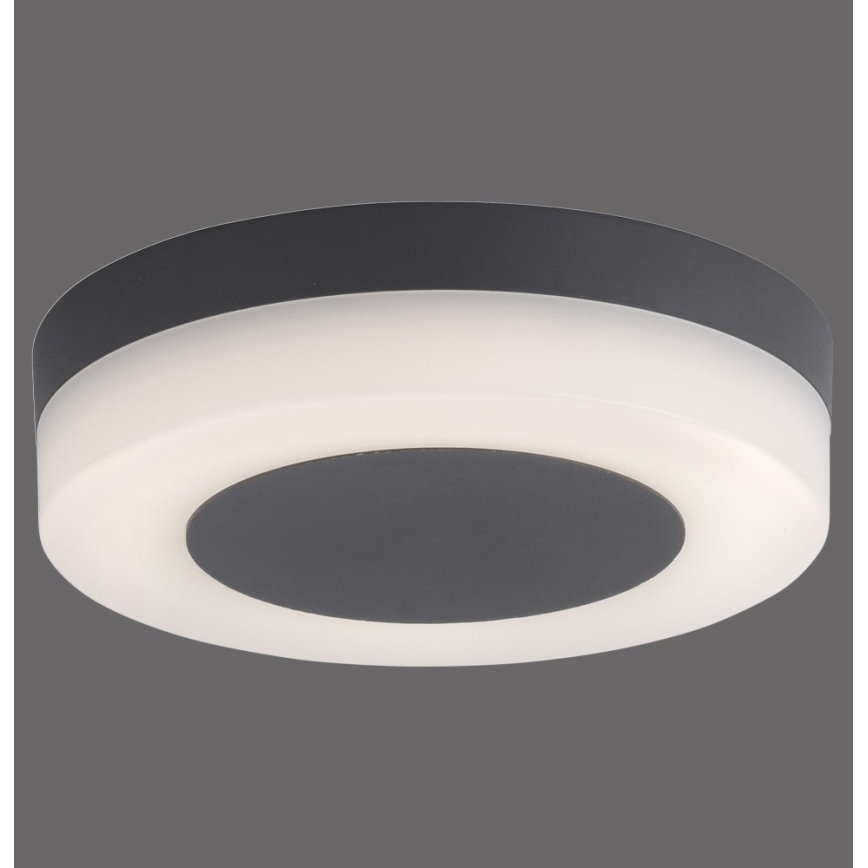 Paul Neuhaus 9490-13 - LED Vonkajšie svietidlo FABIAN LED/12,6W/230V IP54