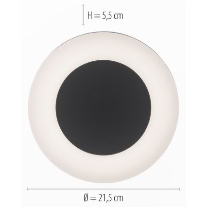 Paul Neuhaus 9490-13 - LED Vonkajšie svietidlo FABIAN LED/12,6W/230V IP54